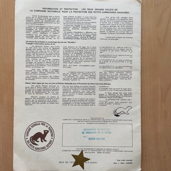 Vintage Illustrations of Small Wild Carnivores Found in France - Picture 3 of 9